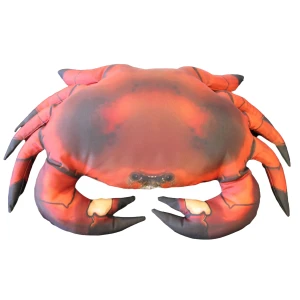 Pute Krabbe 60cm Cancer Pagurus Pute